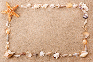 frame of seashells