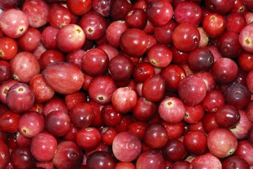 cranberries