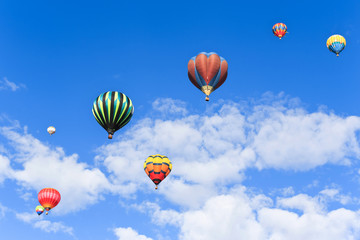 Naklejka premium colorful hot air balloons
