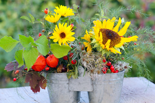 Duo im Herbst