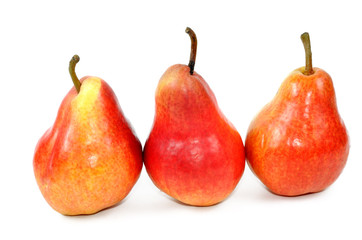 Tree red pears