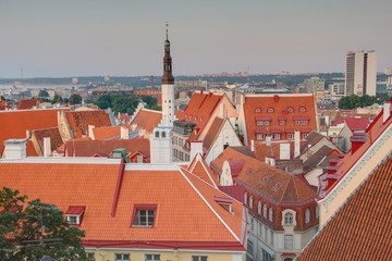 Obraz premium ville de tallin