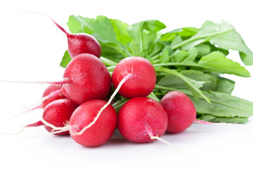 Radish Bunch