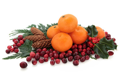 Mandarin and Cranberry Fruit