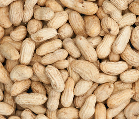 Fototapeta premium boiled peanuts background