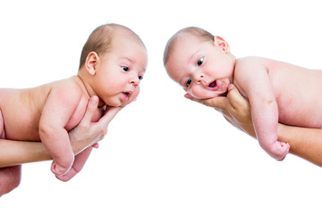 small babies twins on parental hands isolated on white backgroun © Oksana Kuzmina