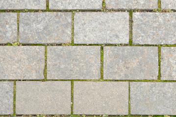 Серая тротуарная плитка.