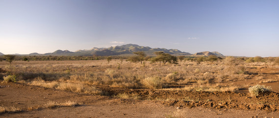 Kenyan savannah
