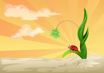 lady bug on grass with sunset background