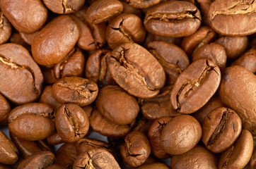 fress coffee beans