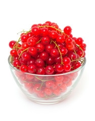 red currant in a bowl