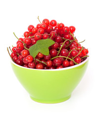 red currant in a bowl