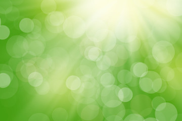 Obraz premium Nature blurred bokeh background