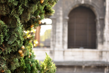 Colosseum, Rome, Italy