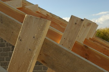 Roof timbers