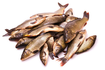 Fresh fish a carp