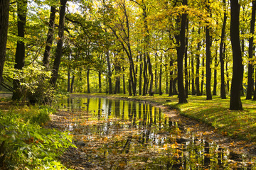 Jesień © Patryk Kosiński