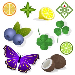 Clipart - plants. Fruit, leaves and butterfly.