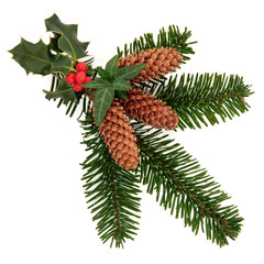 Decorative Winter Spray