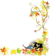 Hedgehog in autumn leaves