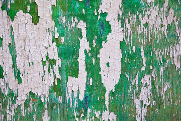 Old board with peeling paint of green and gray - 45395929