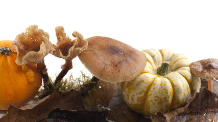 décoration d'automne