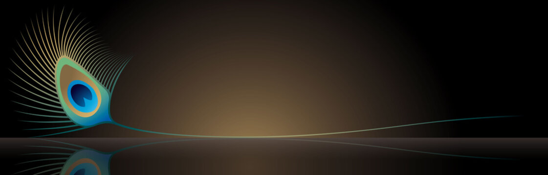 SPA beauty banner black