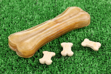 Fototapeta premium Dog bone on green grass