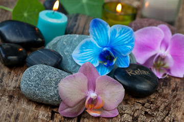 spa concept with colored orchids