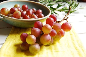 収穫したブドウ