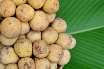 Longkong,Thai fruits on leaf background