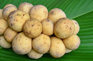 Longkong,Thai fruits on leaf background