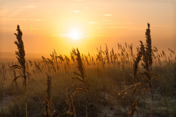 sunrise