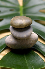 Stack of stone with green leaf
