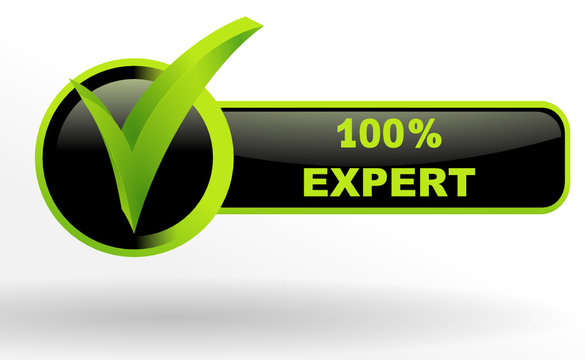 100 pour 100 expert sur bouton validé vert et noir