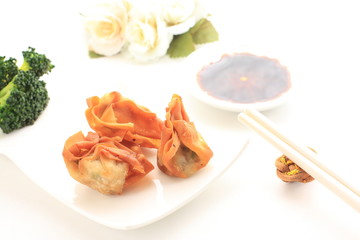 chinese cuisine, dim sum Wantan