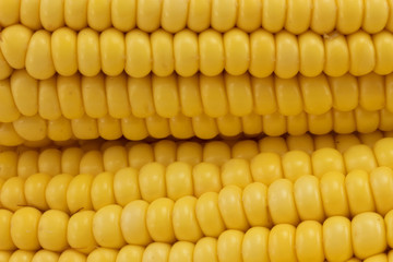 corn