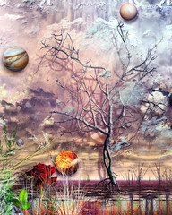 Autumn storm © Rosario Rizzo
