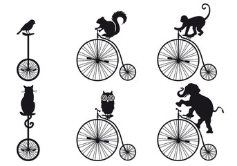 retro bicycle with animals, vector set