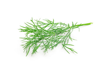 fresh dill