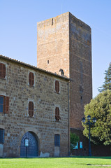 Tower of Lavello park. Tuscania. Lazio. Italy.