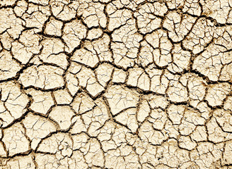 Cracked ground