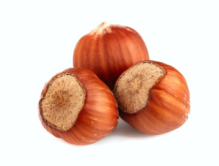 Three hazelnut on a white background