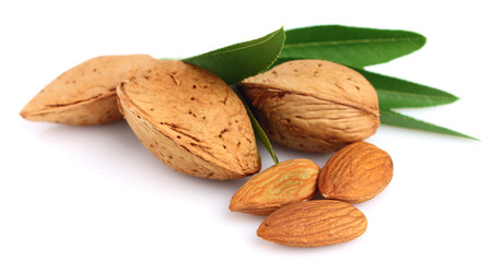 Group of almond nuts with leaves