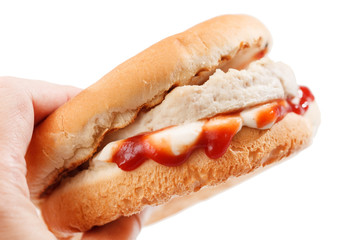 sandwich  in the hand