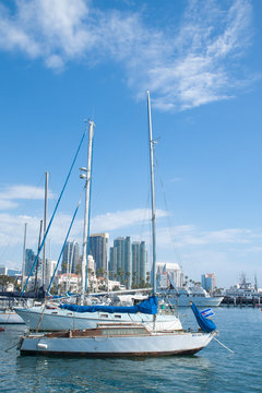 Private yachts in San Diego bay. San Diego bay is the famous poi