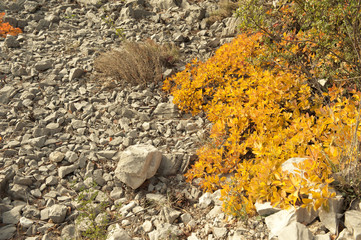 Sommacco del Carso d'autunno. Sentiero di Rilke - Duino
