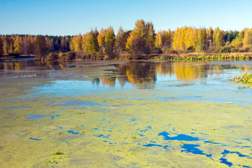 Beautiful nature, autumn