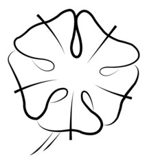 leaves Vector Design Elements