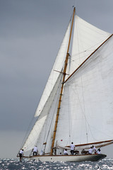 Fototapeta premium voile